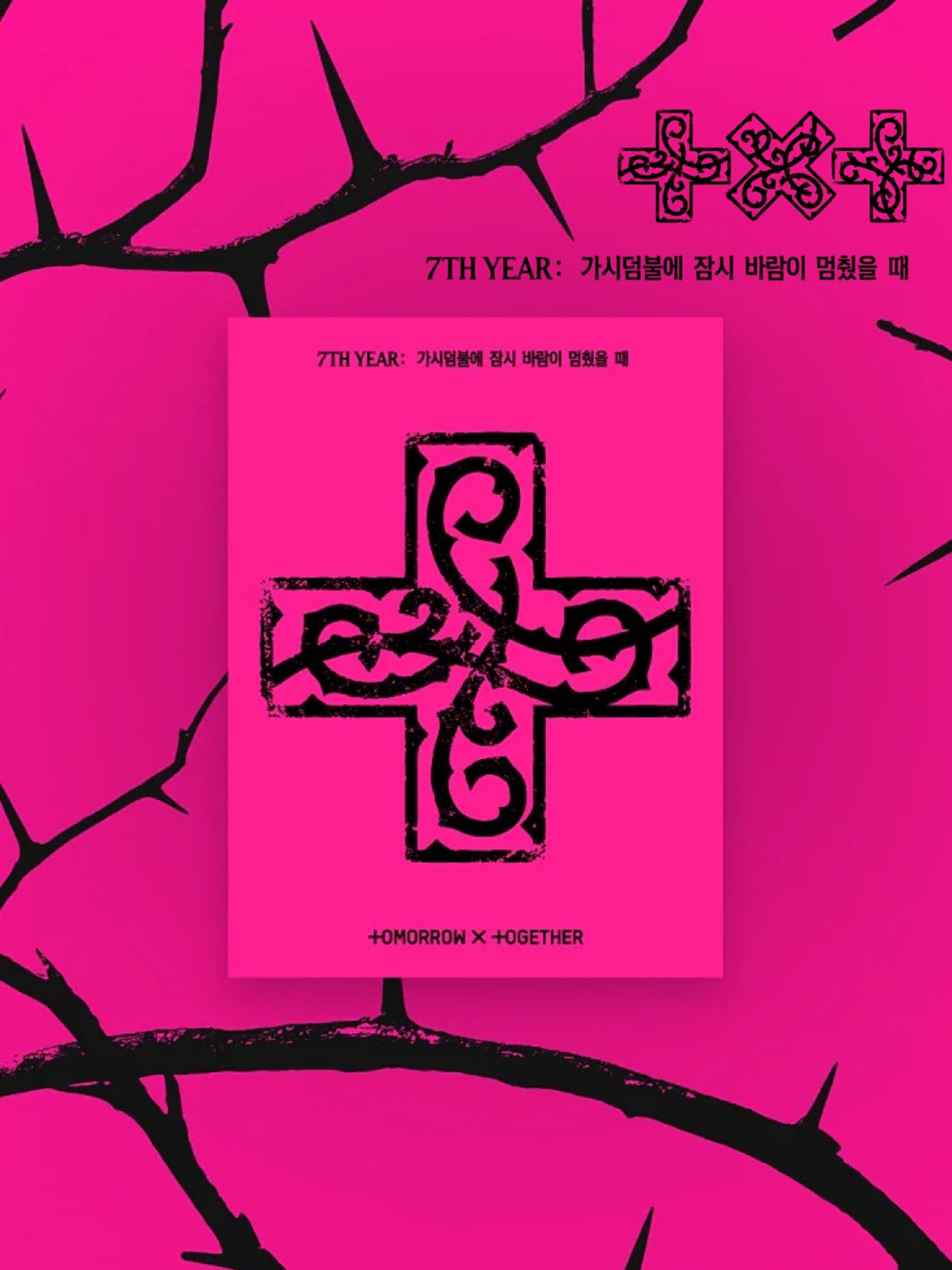 TXT | 8TH MINI ALBUM: 7TH YEAR: A MOMENT OF STILLNESS IN THE THORNS | Weverse Version