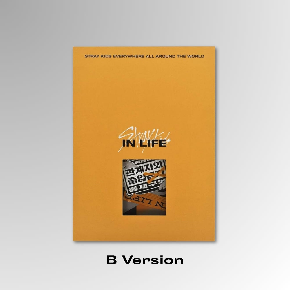 STRAY KIDS : VOL.1 [REPACKAGE IN LIFE]
