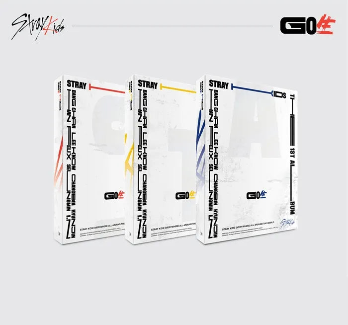 STRAY KIDS : VOL.1 [GO LIVE]
