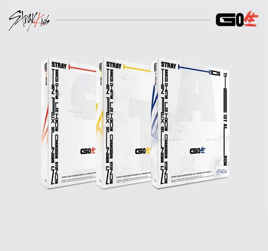 STRAY KIDS : VOL.1 [GO LIVE]