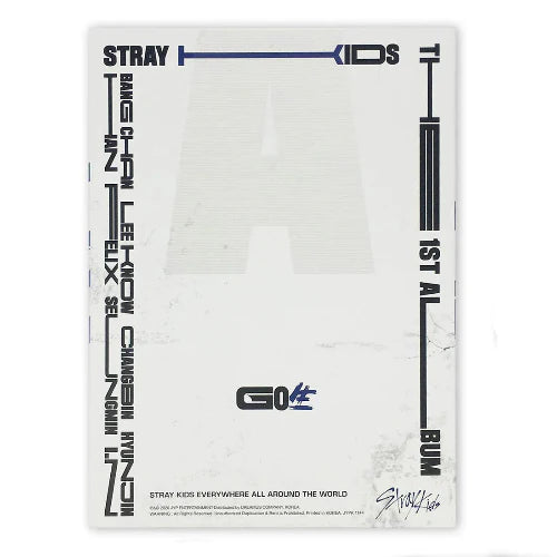STRAY KIDS : VOL.1 [GO LIVE]