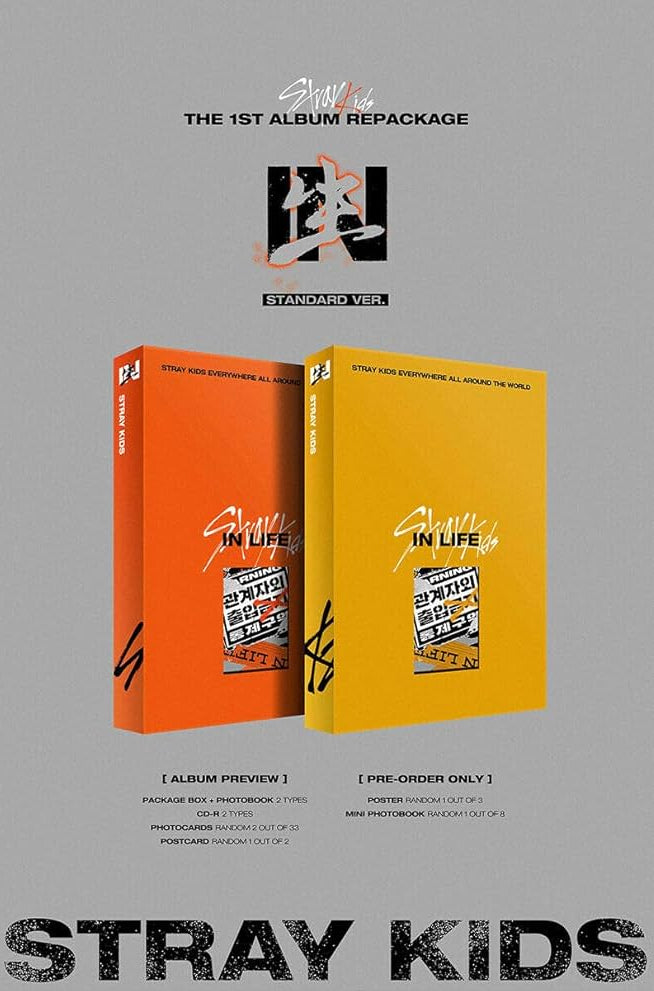 STRAY KIDS : VOL.1 [REPACKAGE IN LIFE]