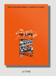 STRAY KIDS : VOL.1 [REPACKAGE IN LIFE]