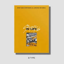 STRAY KIDS : VOL.1 [REPACKAGE IN LIFE]