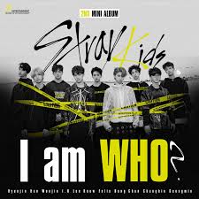 STRAY KIDS : [I AM WHO]