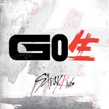 STRAY KIDS : VOL.1 [GO]