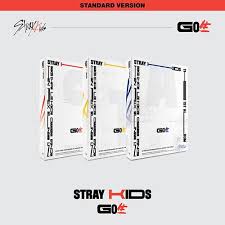 STRAY KIDS : VOL.1 [GO]