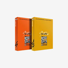 STRAY KIDS : VOL.1 [REPACKAGE IN LIFE]