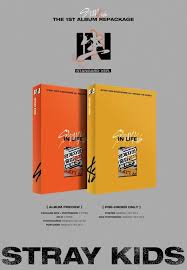 STRAY KIDS :VOL.1 [REPACKAGE IN LIFE]