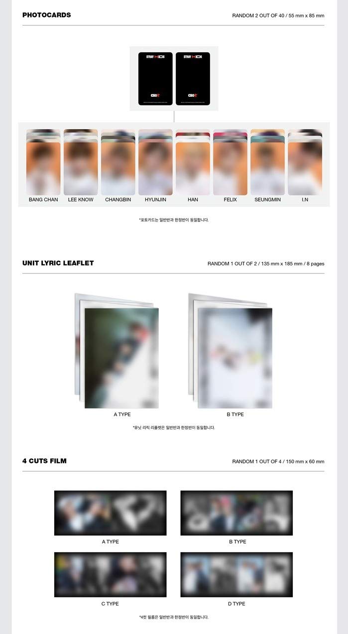 STRAY KIDS : VOL.1 [GO LIVE]