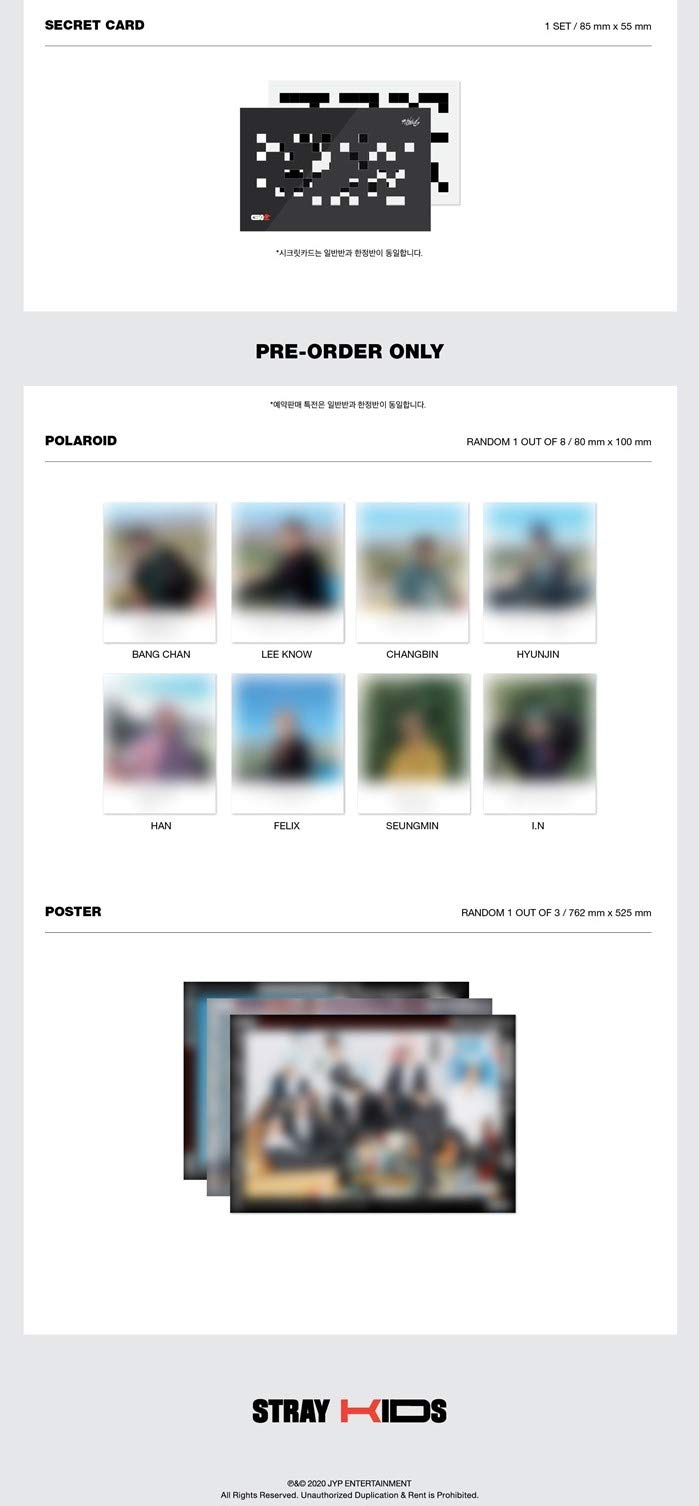 STRAY KIDS : VOL.1 [GO LIVE]