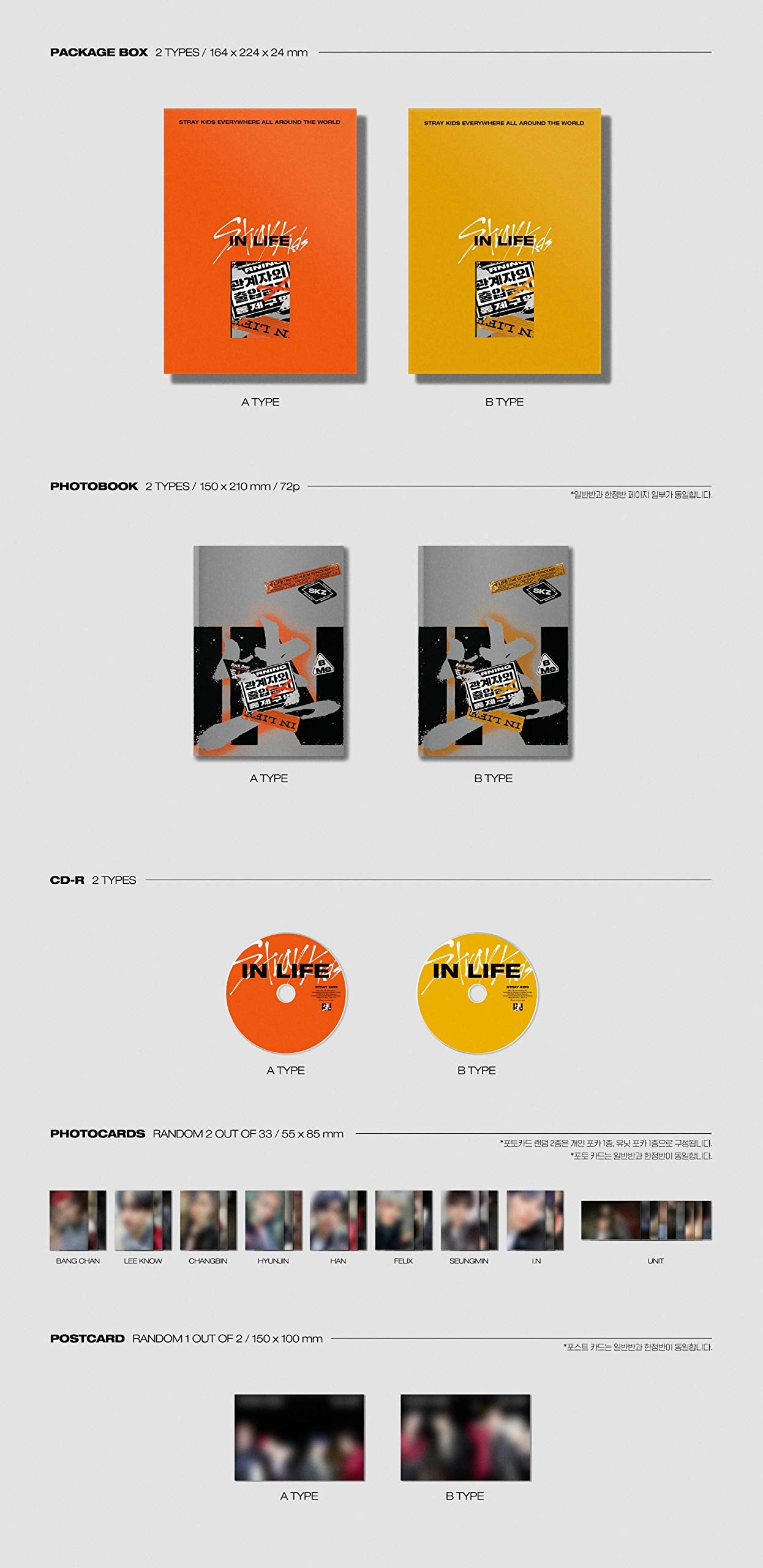 STRAY KIDS : VOL.1 [REPACKAGE IN LIFE]