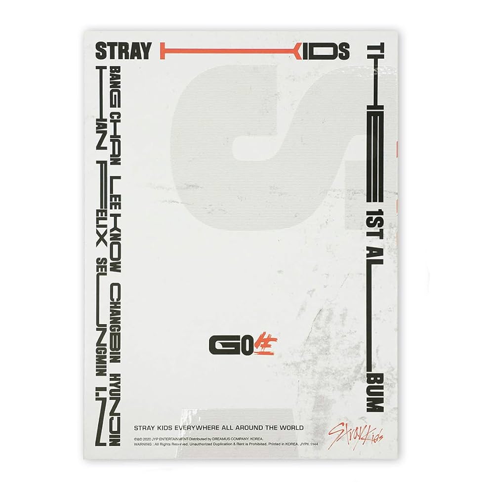 STRAY KIDS : VOL.1 [GO LIVE]
