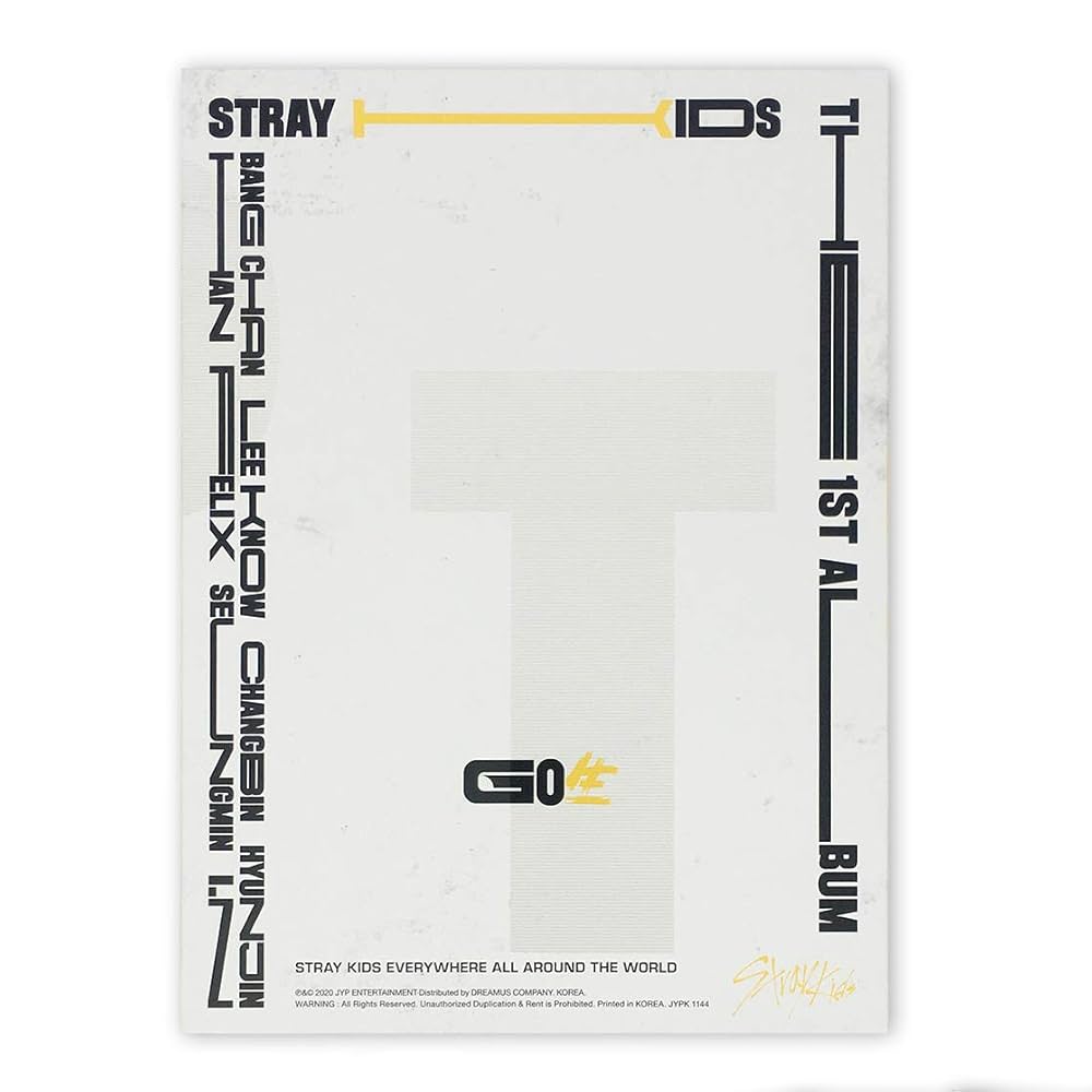 STRAY KIDS : VOL.1 [GO LIVE]